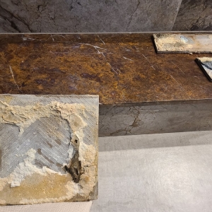 Sacramento Siberian Tiger Tile & Stone