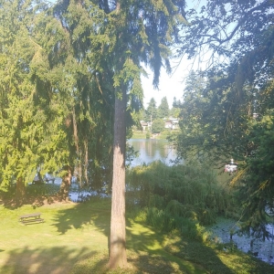 Bellevue Macpherson's Property Management