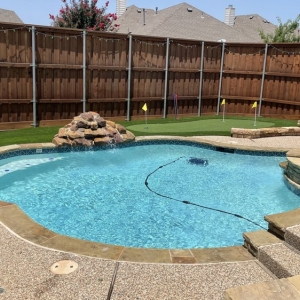 Photo of Tough Turtle Turf - Dallas