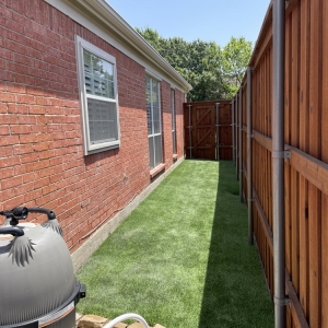 Photo of Tough Turtle Turf - Dallas