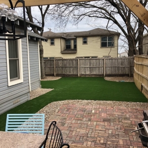 Photo of Tough Turtle Turf - Dallas