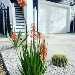 Photo of C - Appeal Exterior Designs