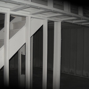 Photo of Residential Mold Services