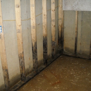Photo of Residential Mold Services
