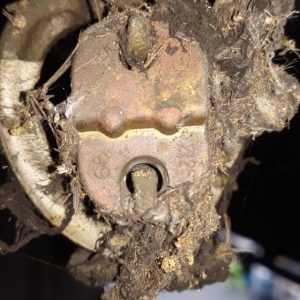 Photo of Advanced Fire Solutions