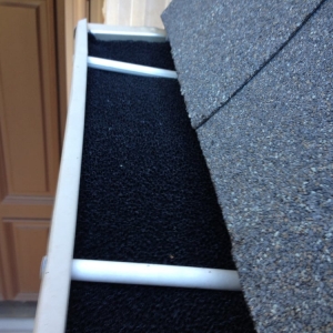 Photo of Bee Clean Services