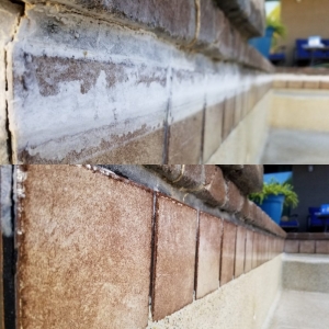 Photo of Motley Pros Pool Tile Cleaning