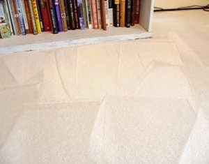 Photo of Alpha Carpet & Rug Cleaning