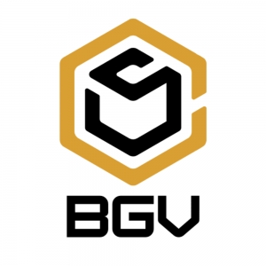 Photo of BGV Construction & Windows