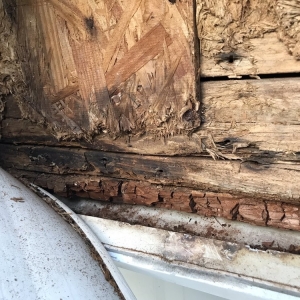 Photo of Coastal Siding & Windows