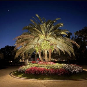 Photo of Natures Designs Landscape Creations
