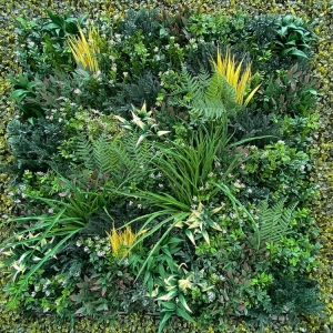 Photo of Natures Designs Landscape Creations