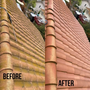 Photo of Platinum Plus Home Services