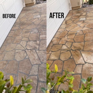 Photo of Platinum Plus Home Services