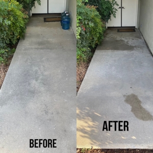 Photo of Platinum Plus Home Services