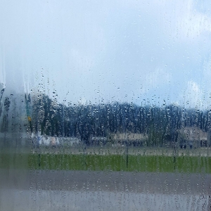 Photo of Whitworth Windows
