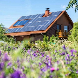 Photo of Solar Pros