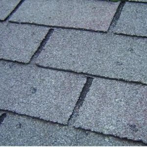 Photo of The Roof Guys