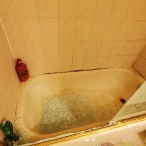 Photo of Gotham Green Cleaning Service