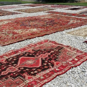 Photo of Fred Remmers Rug Clearners & Oriental Rug Gallery