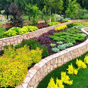 Photo of Youth Lawn Care
