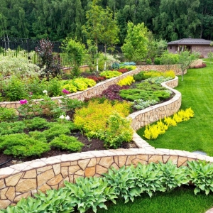 Photo of Youth Lawn Care