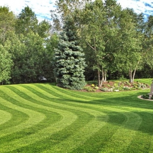 Photo of Youth Lawn Care