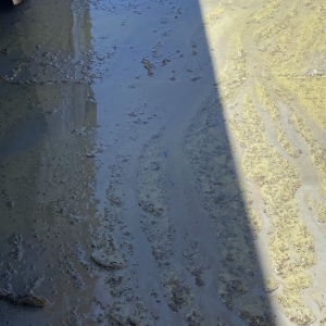 Photo of K&l Pool Service