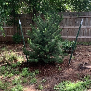 Photo of TLC Garden Centers