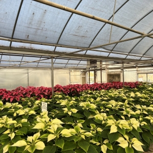 Photo of TLC Garden Centers