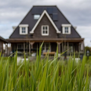 Photo of Advanced Lawn Solutions