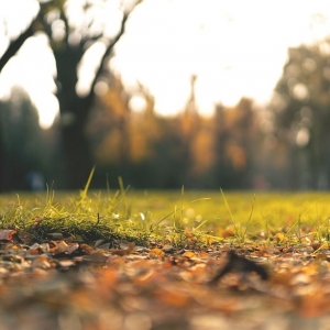 Photo of Advanced Lawn Solutions