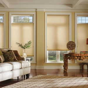 Ardmore Metroshades