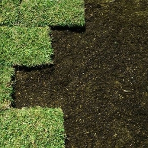 Photo of M C Lawn Service