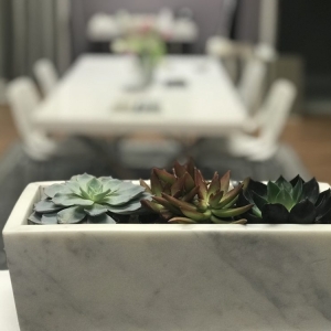 Photo of Set In Stone