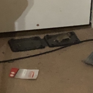 Photo of Hidden Oak Apartments