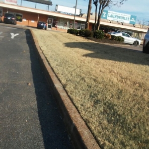 Photo of Suds Laundry