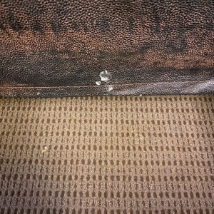 Photo of Sleep Inn Lake Wright - Norfolk Airport