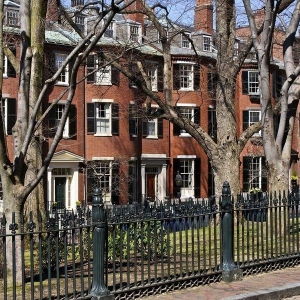 Photo of Alfred's Burglar Bars