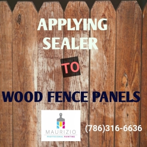Miami Maurizio Professional Painting