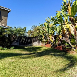 Photo of Mountain Lawn Care