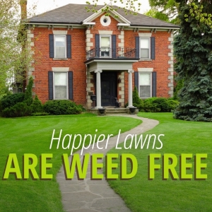 Photo of Fairway Lawns