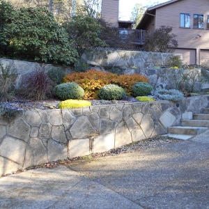 Photo of The Wall