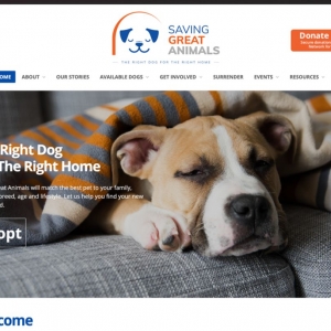 Kirkland Alice Wonder Web Design Studio