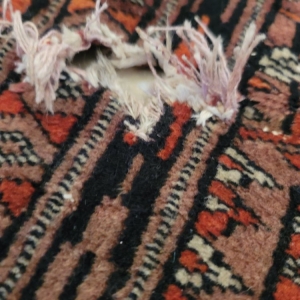 Photo of Shaia Oriental Rugs of Williamsburg