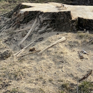 Photo of Gray's Outdoor Services