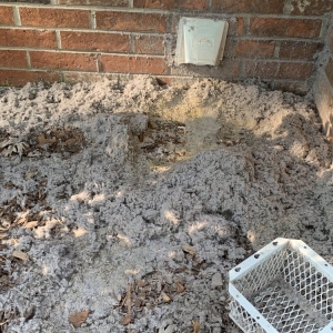 Photo of Revo-Cleaning