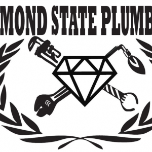 Photo of Diamond State Plumbing