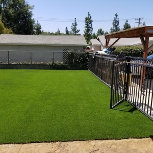 Photo of Xpert Turf
