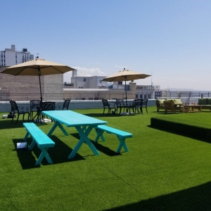Photo of Xpert Turf